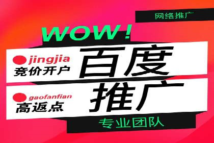 百度竞价推广托管：实战案例深度剖析